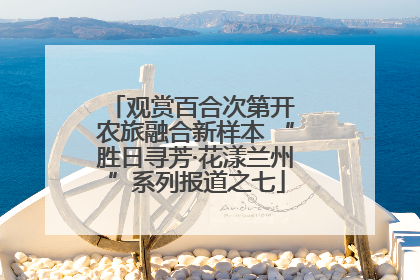 观赏百合次第开 农旅融合新样本 “胜日寻芳·花漾兰州”系列报道之七