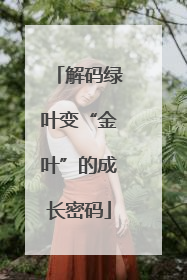 解码绿叶变“金叶”的成长密码