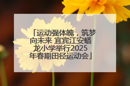 运动强体魄，筑梦向未来 宜宾江安蟠龙小学举行2025年春期田径运动会