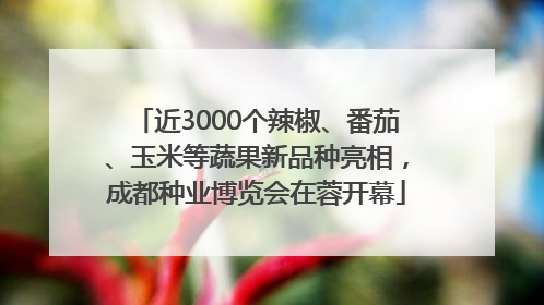 近3000个辣椒、番茄、玉米等蔬果新品种亮相，成都种业博览会在蓉开幕