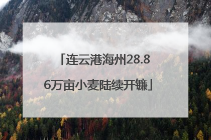 连云港海州28.86万亩小麦陆续开镰