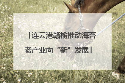 连云港赣榆推动海苔老产业向“新”发展