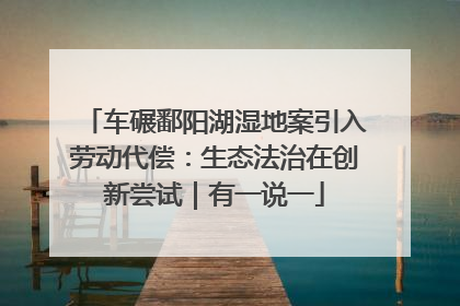 车碾鄱阳湖湿地案引入劳动代偿：生态法治在创新尝试｜有一说一