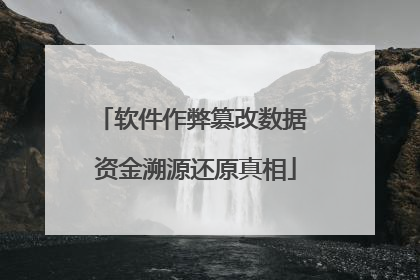 软件作弊篡改数据 资金溯源还原真相