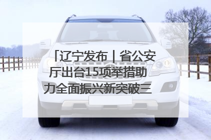 辽宁发布｜省公安厅出台15项举措助力全面振兴新突破三年行动决胜之战