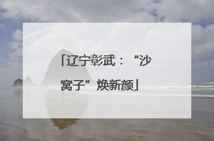 辽宁彰武：“沙窝子”焕新颜