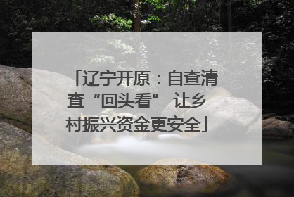 辽宁开原：自查清查“回头看” 让乡村振兴资金更安全