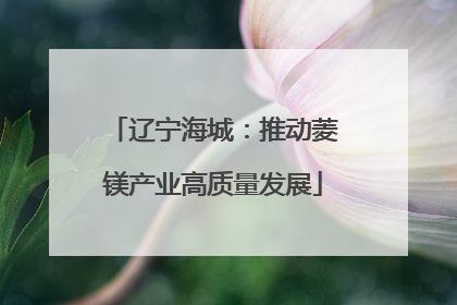 辽宁海城：推动菱镁产业高质量发展