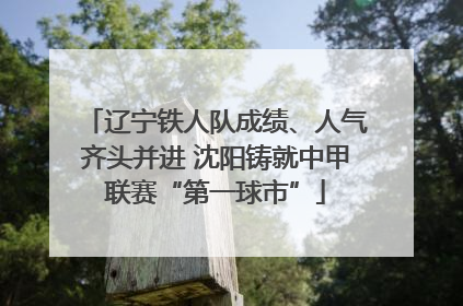 辽宁铁人队成绩、人气齐头并进 沈阳铸就中甲联赛“第一球市”