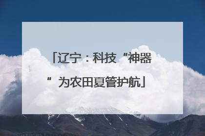辽宁：科技“神器”为农田夏管护航