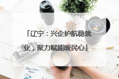 辽宁：兴企护航稳就业，聚力赋能暖民心