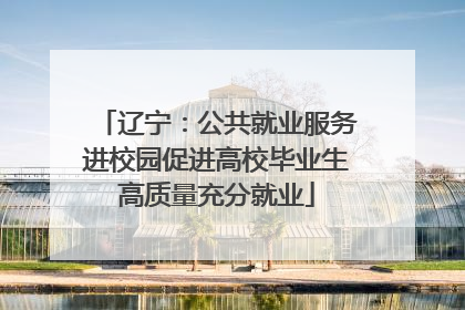 辽宁：公共就业服务进校园促进高校毕业生高质量充分就业