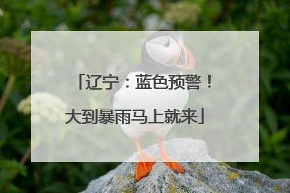 辽宁：蓝色预警！大到暴雨马上就来