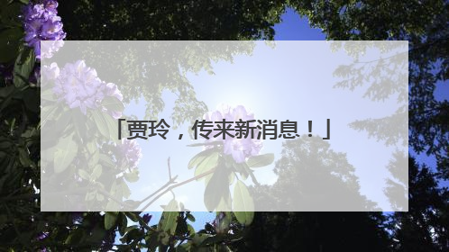 贾玲，传来新消息！