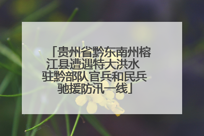 贵州省黔东南州榕江县遭遇特大洪水 驻黔部队官兵和民兵驰援防汛一线