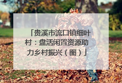 贵溪市流口镇细叶村：盘活闲置资源助力乡村振兴（图）