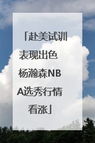 赴美试训表现出色 杨瀚森NBA选秀行情看涨