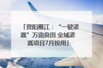 资阳雁江：“一键灌溉”万亩良田 全域灌溉项目7月投用