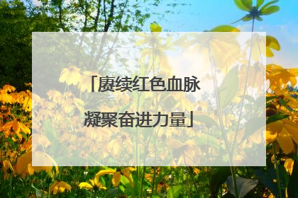 赓续红色血脉 凝聚奋进力量