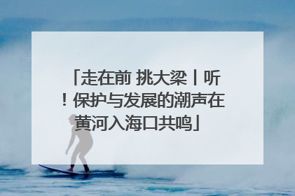 走在前 挑大梁丨听！保护与发展的潮声在黄河入海口共鸣