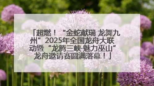 超燃！“金蛇献瑞 龙舞九州”2025年全国龙舟大联动暨“龙腾三峡·魅力巫山”龙舟邀请赛圆满落幕！