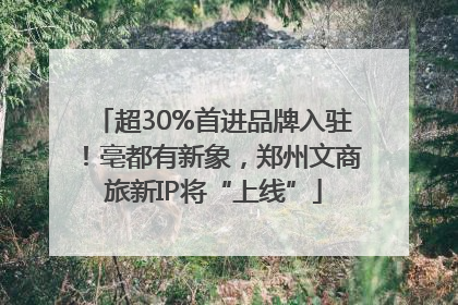 超30%首进品牌入驻！亳都有新象，郑州文商旅新IP将“上线”
