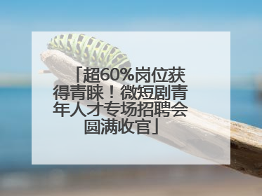 超60%岗位获得青睐！微短剧青年人才专场招聘会圆满收官