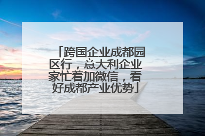 跨国企业成都园区行，意大利企业家忙着加微信，看好成都产业优势