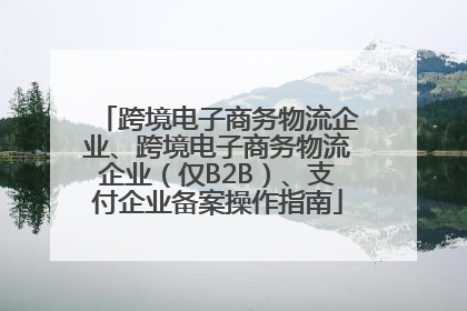 跨境电子商务物流企业、跨境电子商务物流企业（仅B2B）、支付企业备案操作指南