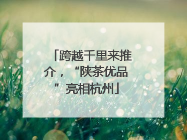 跨越千里来推介，“陕茶优品”亮相杭州