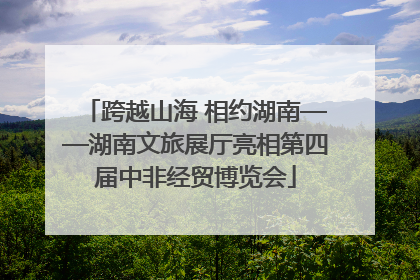 跨越山海 相约湖南——湖南文旅展厅亮相第四届中非经贸博览会