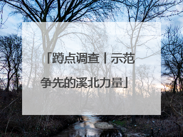 蹲点调查丨示范争先的溪北力量