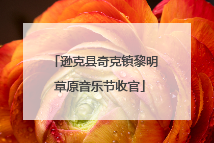 逊克县奇克镇黎明草原音乐节收官