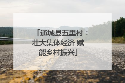 通城县五里村：壮大集体经济 赋能乡村振兴