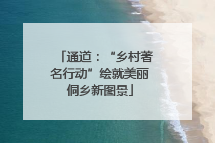 通道：“乡村著名行动”绘就美丽侗乡新图景