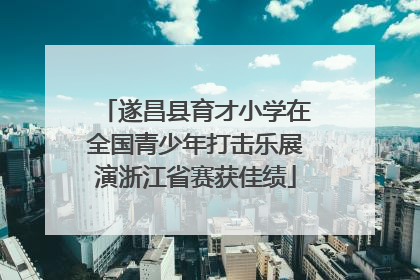 遂昌县育才小学在全国青少年打击乐展演浙江省赛获佳绩