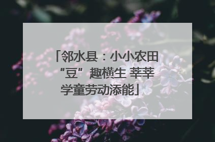 邻水县：小小农田“豆”趣横生 莘莘学童劳动添能