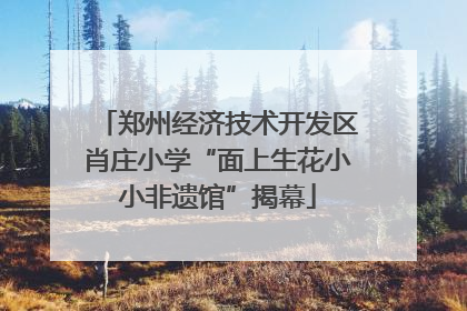 郑州经济技术开发区肖庄小学“面上生花小小非遗馆”揭幕