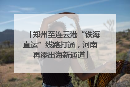 郑州至连云港“铁海直运”线路打通，河南再添出海新通道