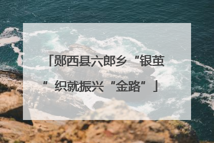 郧西县六郎乡“银茧”织就振兴“金路”