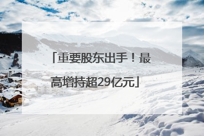 重要股东出手！最高增持超29亿元