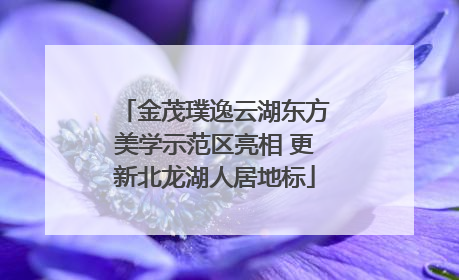 金茂璞逸云湖东方美学示范区亮相 更新北龙湖人居地标