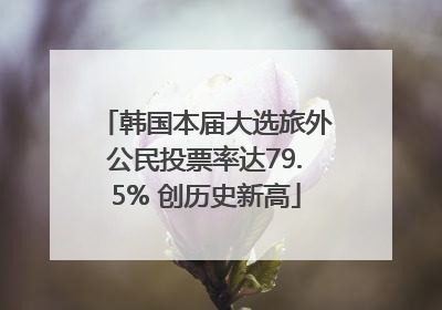 韩国本届大选旅外公民投票率达79.5% 创历史新高