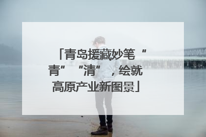 青岛援藏妙笔“青”“清”，绘就高原产业新图景