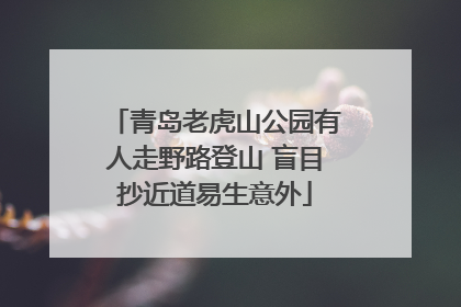 青岛老虎山公园有人走野路登山 盲目抄近道易生意外