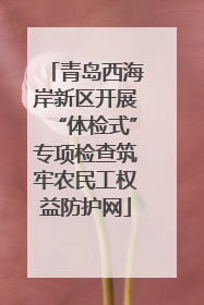 青岛西海岸新区开展“体检式”专项检查筑牢农民工权益防护网