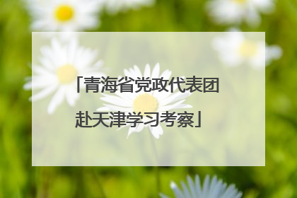 青海省党政代表团赴天津学习考察