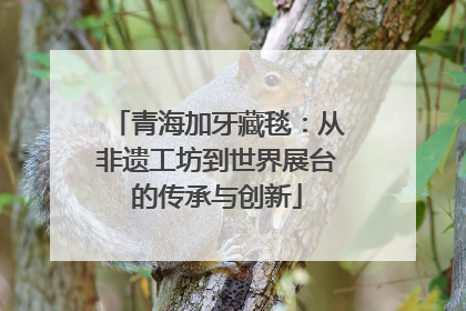 青海加牙藏毯：从非遗工坊到世界展台的传承与创新