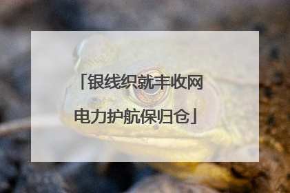 银线织就丰收网 电力护航保归仓
