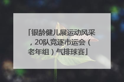 银龄健儿展运动风采，20队竞逐市运会（老年组）气排球赛